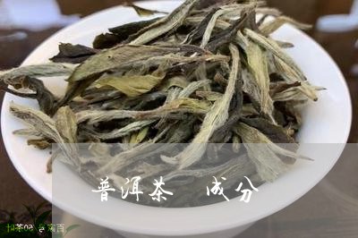 普洱茶 成分/2023042984348